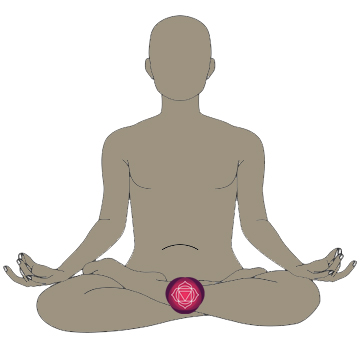 root chakra location